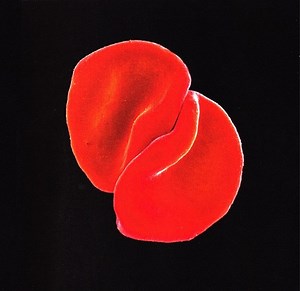 Peter Gabriel - Scratch My Back