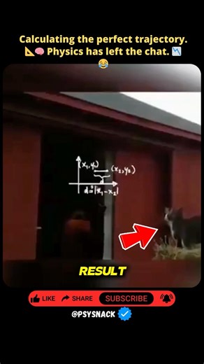 Cat Math Gone Wrong! 📉🐈 #shorts #funny #memes