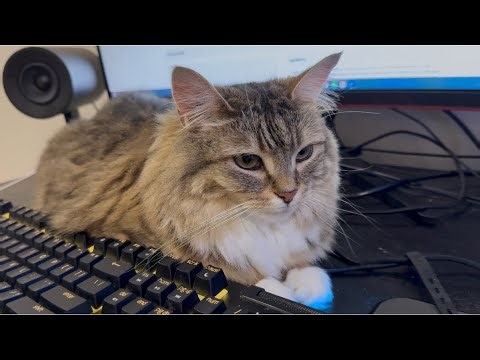 Car parked in front of my computer and started the engine