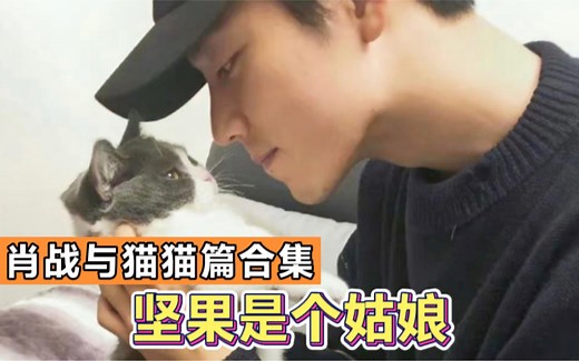 「肖战采访」谈宠物猫坚果，满满的都是宠溺，日常互动好暖心！｜肖战与猫猫合集