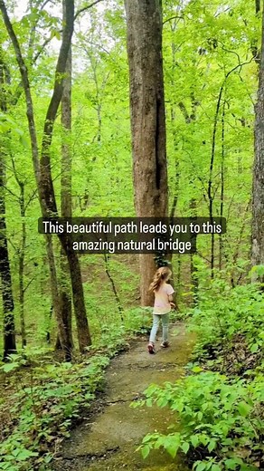 6.9K views · 106 reactions | This Natural Bridge is a wonderful free stop in Bankhead National Forest.  Little Natural Bridge, Bankhead National Forest Find directions here (link to website in bio): https://huntsvilleadventurer.com/natural-bridge-hiking-trail/ . #alabamathemagical #Alabama #alabamathebeautiful #alabamatravel | Huntsville Adventurer | Facebook