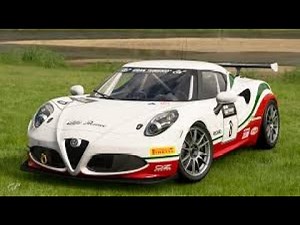 Alfa 4C Gr.4 Setup Guide – Full Build Breakdown 🔥