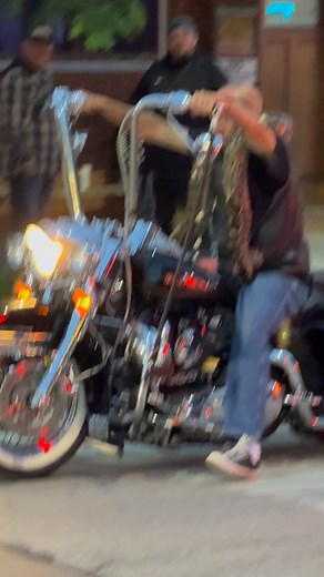 How could this be made safer? Could the snake constrict around something? American Bikers. 🇺🇸 #USA #harleydavidsonmotorcycles #harley #motorcycle #bikelife #bike | ROXOR INFO