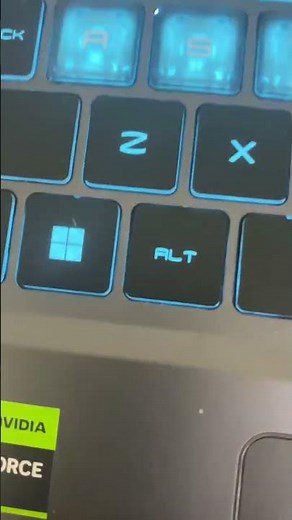 Windows key flashing! (Hold function key FN and F8 keyboard light settings)