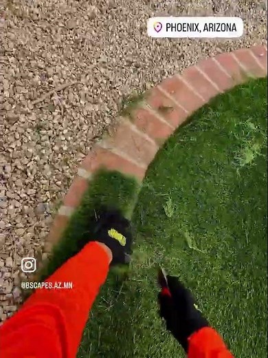 Removing old sod the right way 🌱 (don't skip this step)