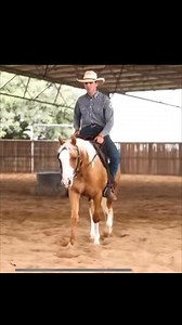 Moony RFP HARDMOONARISING | Secretheart Stockhorses & Quarter Horses
