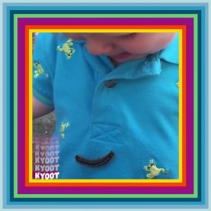 122K views · 1.4K reactions | Who will win in the battle of "Kid" vs. "bug"? 曆 | Totally Funny Animals | Facebook