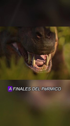 The Last King of the Permian: Gorgonops Explained