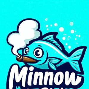 Minnoww - Twitch