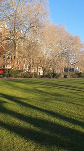 Walking to work. Net Zero - are you feeling it? | Lee Anderson