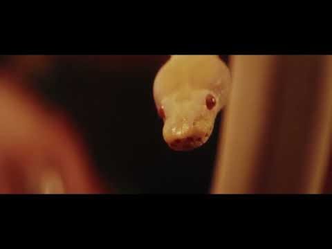 The Myth That's Sabotaging Your Python Progress (And How to Break Free)