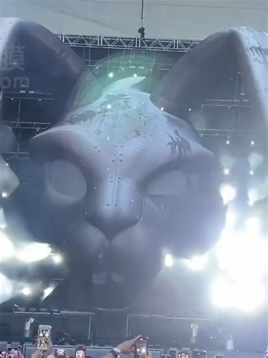 fuyiinflatable_alisa on TikTok