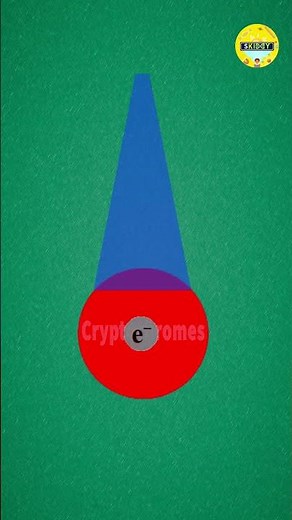 How do Birds Navigate? - Sun☀️, Stars⭐, and Magnetic Senses🧲 | Science fact👩🏻‍🔬| 👧🏻 Kids video👦🏻