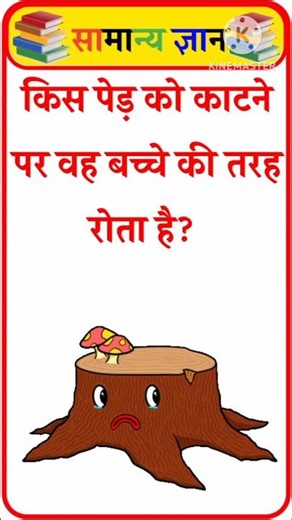 This tree cries when cut! You will be shocked to know the truth! Tree crying fact in Hindi #gk✍️