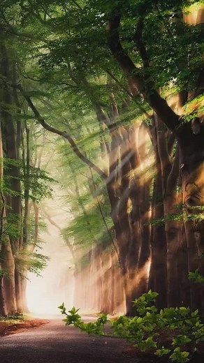 Mesmerizing Nature Scenes Through Changing Seasons