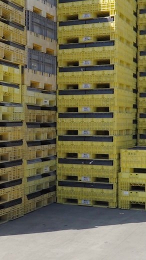 Yesterday’s dunnage. Tomorrow’s pellets. In 9 hours or less. ♻️⏱️ Edge Materials Management turns HMWPE and PP dunnage into clean, reusable pellets with real scale and transparency. We process 60–70k lb per day with 600k lb in-process capacity and verified weigh tickets. Close the loop and cut costs. Let’s turn your dunnage into pellets in a single shift. #IndustrialRecycling #CircularEconomy #Manufacturing #PlasticsRecycling #EdgeMaterialsManagement | Vantage Plastics, Inc.