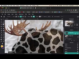Layering Pattern over an Image in Pixlr E