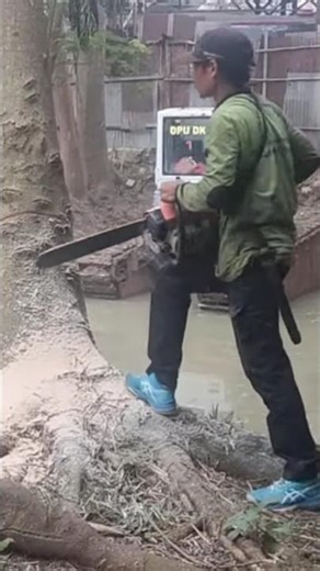 Woodworking project large tree logging skills Techniques #shortvideo #treecutting #chainsaw 5036