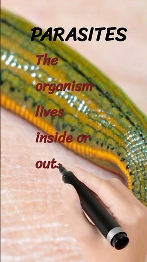 Class 10 Life Processes |Heterotrophic nutrition | Class 10 Biology