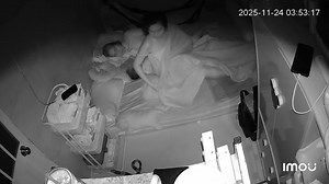 1.5M views · 4.7K reactions | Đến bây giờ vẫn còn hoang mang không hiểu vị khách ấy từ đâu mà đến vì phòng kín. Và cũng không biết tại sao bản thân lại bình tĩnh đến như vậy. Mùa mưa bão mọi người chú ý cẩn thận ạ, chứ bạn Mèo là ám ảnh tâm lý lắm rồi  | Thu Nhân | Facebook