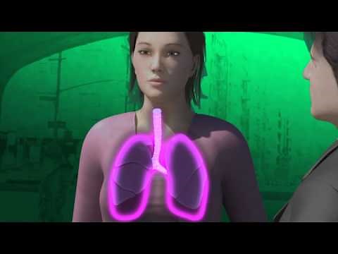 OMS : La grippe, une menace imprévisible