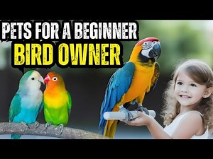Top 10 Best Pets For A Beginner Bird Owner