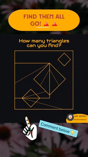 Can you spot all the triangles? Let me know your count! 👇 #mrbraingame #brainteaser #challenge #education #count