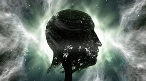 Human Head Silhouette Tree Effect Stock Footage Video (100% Royalty-free) 1099814005 | Shutterstock