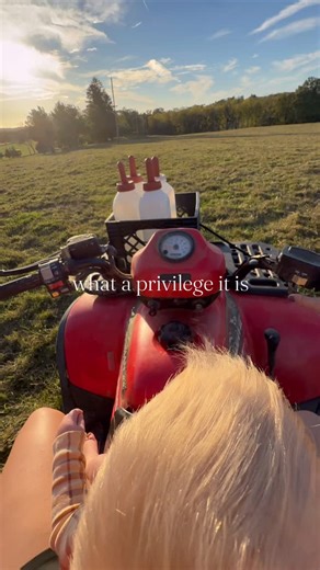 When we built our house we put a slider door facing our back pasture. It’s 20 steps out the door and you’re at the fence. Not everyone’s cup of tea being that close but it is our favorite spot and has made for the best morning and evening views🌅🐂 #farm #cattle #family #cows #pastureraised #home | Hemlock Farms
