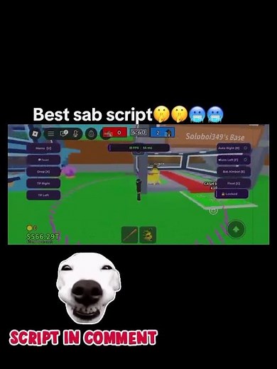 SAB best script duel keyless #roblox
