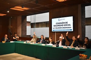Comisión aprobó dictámenes en materia de jubilación y acceso a la seguridad social