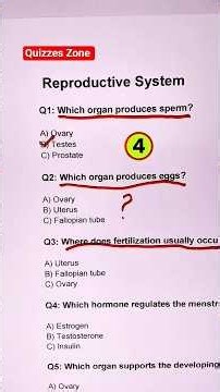 🧠 Can You Believe This? 🤯 Human Reproductive System Explained 🇱🇷 #shorts #braintest #iqtest #usa