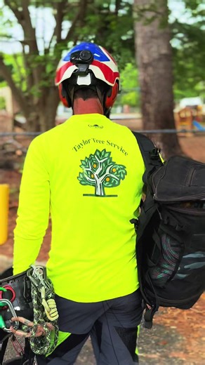 #cranework #treeremoval #arborist #operation #treecare