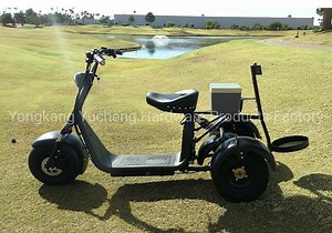 [Hot Item] Manufacturer Golf Cruiser Fat Tire Golf Cart Moped Bicycle 2000W 60V 20ah Electric Golf Scooter