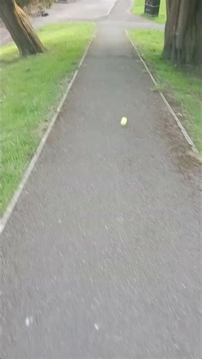 rolling a ball down the hill