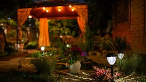 Die besten Solarleuchten für den Garten (Tipps)