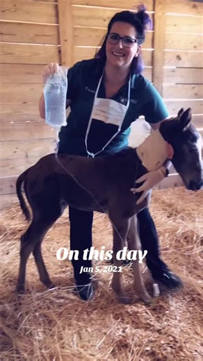 #onthisday