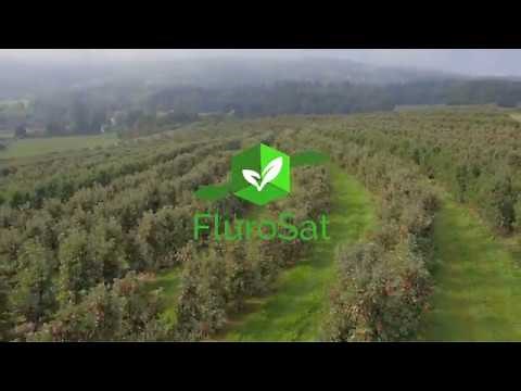 How to understand Remote Sensing Indices