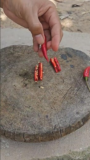 Chili pepper fruit