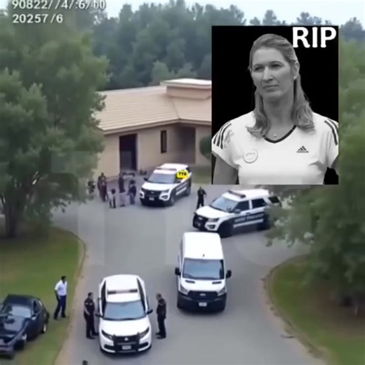 23K views · 37 reactions | 11 minutes ago Steffi Graf, confirmed as…See more | Early Bird | Facebook