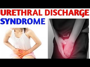Urethral Discharge : Causes, Diagnosis, Symptoms, Treatment