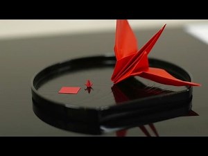 Future Japanese doctors tested with origami