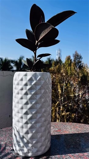 The only bad workout is the one U didn’t do Showing up is more important than giving ur best everyday #sundaymotivation #loveyourself #workoutaddict #fitnessmotivation #wellness | Ritu Lamba