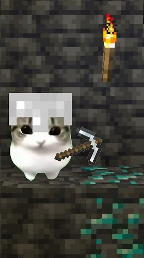 Minecraft Dam Dam Didi Di Di Cat #minecraft #cat #memes