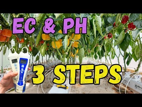 3 Steps to Perfect EC & pH in Hydroponics (Root Zone Secrets)