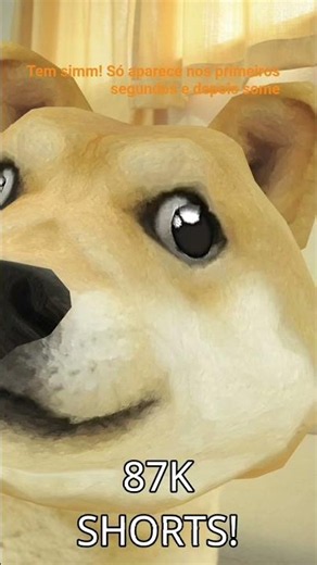 essa foto tô dentro do doge #naofloppa #naoflopa #memes #trending #shortsfeed #viral #dog #dogs
