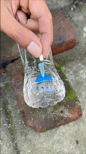 Great Self Watering System From Plastic Bottle! #diy #ideas