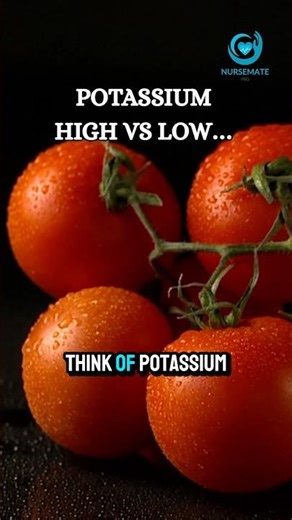 Potassium high vs low ⚡ explained simply.