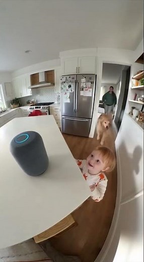 ALEXA, PLAY POOP SONGS! 💩 💩 #baby #todler #funnykids #funnyalexa #foryoupage