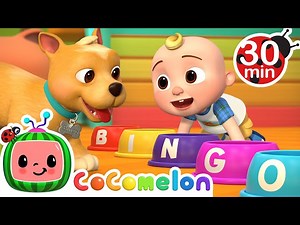 Bingo Was His Name-O   MORE Dog Songs! CoComelon Nursery Rhymes & Animal Songs - Videos For Kids